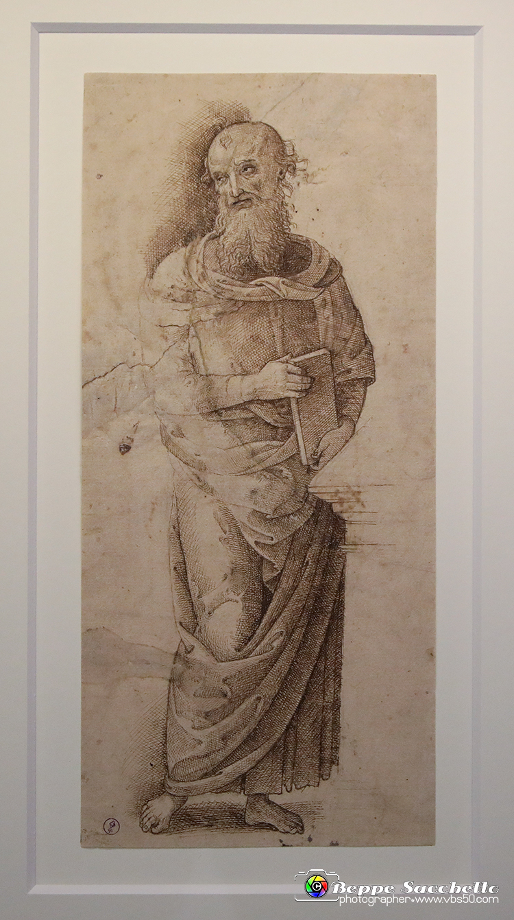 VBS_0019 - Mostra Nel segno di Raffaello.jpg